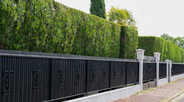 green hedge, painted metal fence of residential house luxury